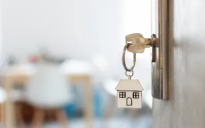 Professionally furnished homes